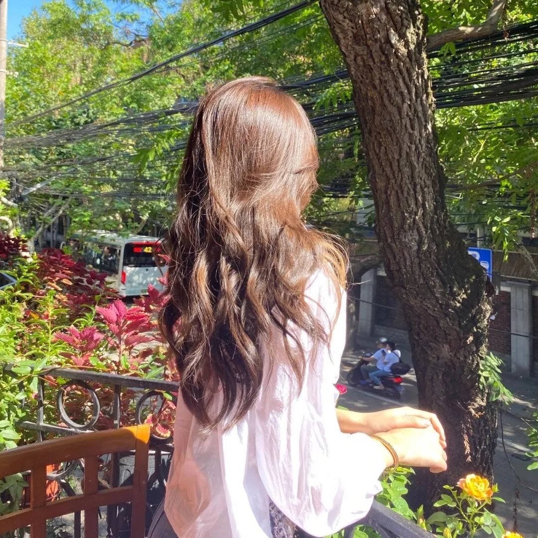 金门新娘 在线观看封面
